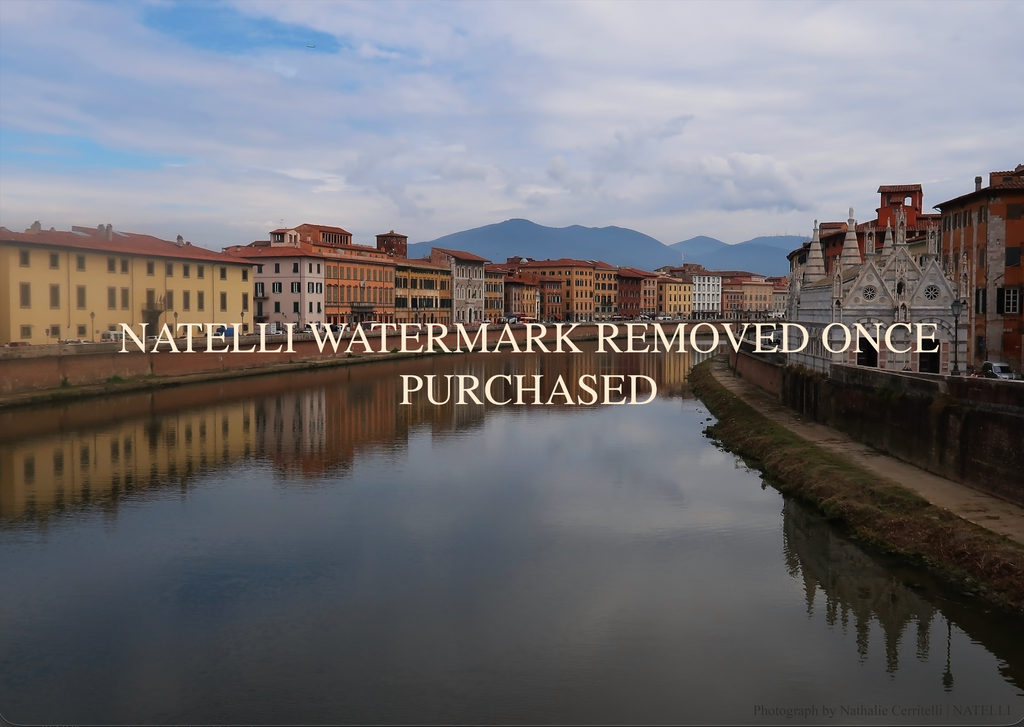 On the way to Pisa Italy Digital Print | NATELLI