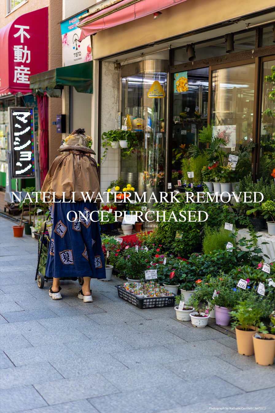Flower Shop Shinagawa Digital Print | NATELLI